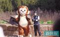《疯狂的丛林》 “石榴姐”牵手李子雄 把对手们虐坏了