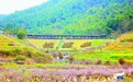 桐庐:全域规划引领下的乡村蝶变