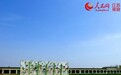 江苏常州移风易俗 设全国首个纯生态安葬基地