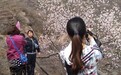 河北元氏县举办首届河北·元氏山花节(图)