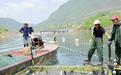 湖北保康:生态养鱼富农家