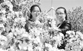 河北怀来:万亩海棠花醉游人