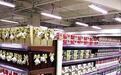 广州最大进口商品直销店明日南沙开业