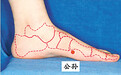公孙穴健脾和胃,通调胃肠