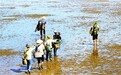 连江 夏日赶海体验渔民生活