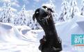 《冰雪女王》抄袭《冰雪奇缘》? 这个版本更接近原著精髓