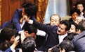 日本国会上演全武行