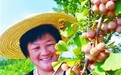 “难坑”变身绿色“富坑”