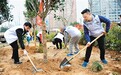 300余名青年 共植“青年林”