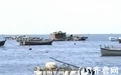 青岛一养殖户海蛎子频繁被盗 系邻居因羡慕暗中盗窃