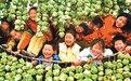一碟榨菜品匠心(人民眼·舌尖上的安全)