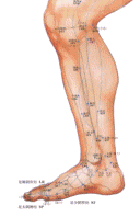 E555BAEBCA3FDB0992E339656397B287ABF5ED77_size186_w600_h932.gif