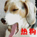 不外乎三样:   升温(热成dog)   ↓↓↓   降温(冻成dog) 浏览大图