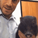 一只刚刚康复的宠物猪