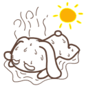 北京持续高温,防晒,防暑秘籍来啦!-手机凤凰网