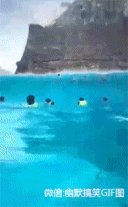 这认真的表情,原谅我不厚道的笑了!