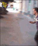 搞笑gif:不作死就不会死 原谅我一生放荡不羁笑点低