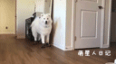 348981C138ED0AA40E3D7A62531067A0FD07DF59_size1071_w640_h358.gif