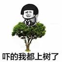 [晚fun来了]最文雅的斗图表情包 撕出了浓浓书卷气