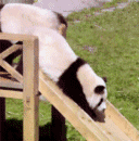 熊猫   13.也不会玩木马.