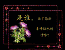 关于爱情,一首美到窒息的诗,祝天下有情人终成眷属!谁看谁幸福