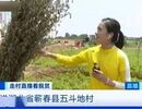 脱贫攻坚记者手记丨孟夏冰:三个村和三条河