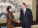 王岐山会见柬埔寨副首相梅森安