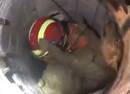 合肥一只金毛狗掉入3米深井 被救后扑进消防员怀中