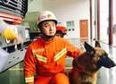 消防兵带搜救犬一起退伍 陪它旅游看世界
