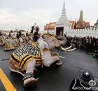 泰国大象在大皇宫外下跪哀悼泰王(图)