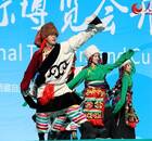 组图：第二届中国西藏旅游文化国际博览会开幕
