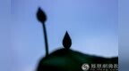 一日禅：花开半夏