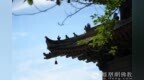 一日禅：拥抱生活