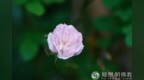 一日禅：一切皆修行