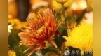 一日禅：生命的厚度