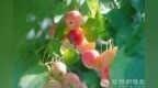 一日禅：潇洒走一回