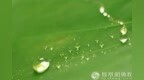一日禅：只管播种