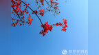 一日禅：生命中最美的风景