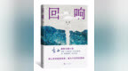 <em>茅盾文学奖</em>｜东西《回响》：写镜子里面的人