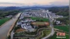 （鄉(xiāng)村行·看振興）福建泰寧：漁港廢殼“遠嫁”山鄉(xiāng) 堿化沃土催生金色稻浪