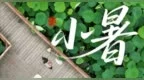 今日小暑，宜吃这些