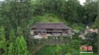 “一個都不能少” 浙江單村水站破解山村散戶用水之困