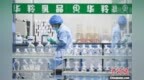 海外華媒甘南行：科技賦能，乳香越重洋