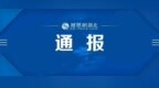 湖北省纪委监委：给予王郁辉开除党籍处分