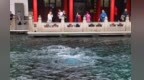 中国红·齐鲁行 | “水涌若轮”“月牙飞瀑”“黑虎啸月”盛况空前 济南趵突泉水位跃升至29.61米