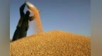 国家统计局：2021年全国粮食总产量再创新高