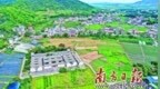 梅州梅县区入选传统村落集中连片保护利用示范县（市、区）名单