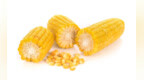玉米能做3款减肥餐，低卡又好吃