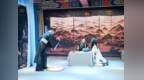 长春市南关区开展“品味端午 传承文化”暨“我们的节日·端午”主题活动