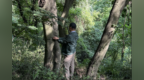 苏州保护珍稀濒危植物获重大进展：光福省级自然保护区首次发现保存完好红柴枝群落